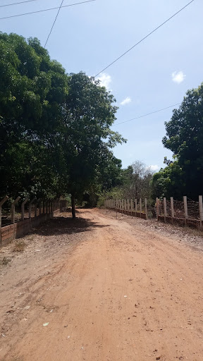 Melhores Apartamentos em Gameleira, Piauí para Alugar 2025
