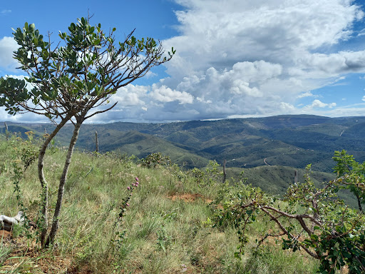 Melhores Apartamentos em Macacos, Minas Gerais para Alugar 2025