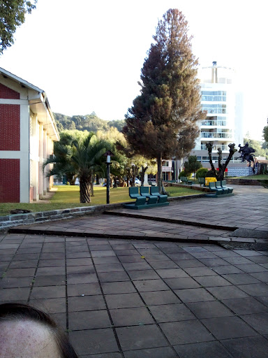 Melhores Apartamentos em São Domingos, Rio Grande do Sul para Alugar 2025