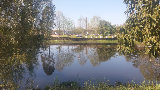 Melhores Apartamentos em Esteio, Rio Grande do Sul para Alugar 2025