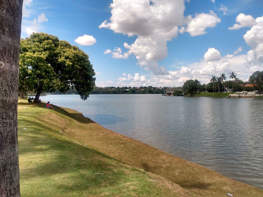 Melhores Apartamentos em Pampulha, Minas Gerais para Alugar 2025