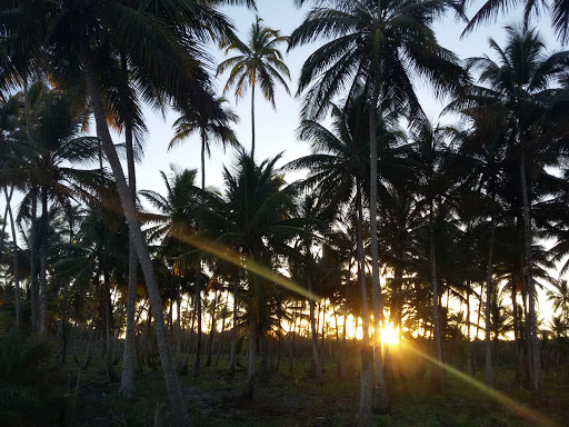 Melhores Apartamentos em Ponta da Tulha, Bahia para Alugar 2025