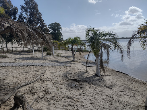 Melhores Apartamentos em Rio Grande, Rio Grande do Sul para Alugar 2025
