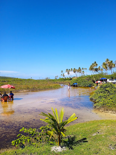 Melhores Apartamentos em Massarandupio, Bahia para Alugar 2025
