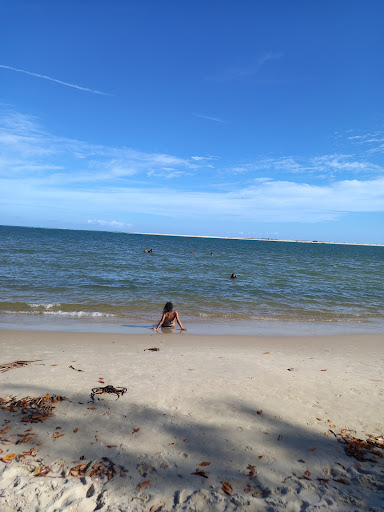 Melhores Apartamentos em Praia do Saco, Sergipe para Alugar 2025