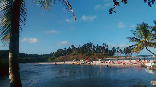 Melhores Apartamentos em Cururupe, Bahia para Alugar 2025