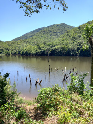 Melhores Apartamentos em Galópolis, Rio Grande do Sul para Alugar 2025