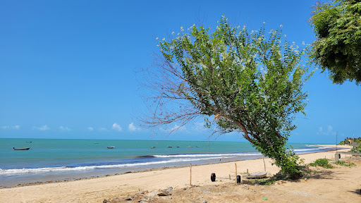 Melhores Apartamentos em Praia de Moitas, Ceará para Alugar 2025