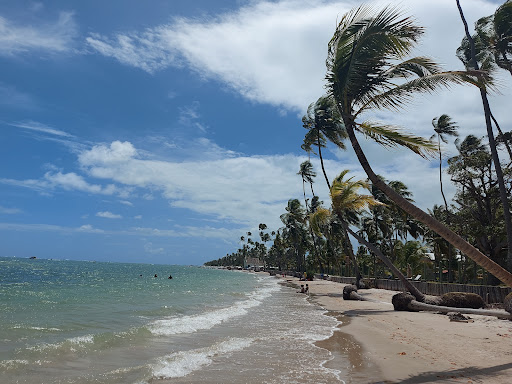 Melhores Apartamentos em Praia dos Carneiros, Pernambuco para Alugar 2025