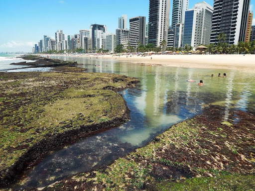 Melhores Apartamentos em Boa Viagem, Pernambuco para Alugar 2025