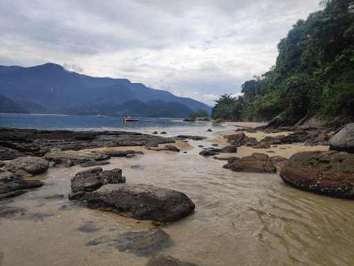 Melhores Apartamentos em Ilha do Cedro, Rio de Janeiro para Alugar 2025