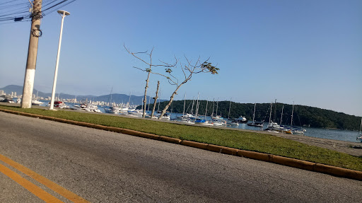 Melhores Apartamentos em Perequê, Santa Catarina para Alugar 2025