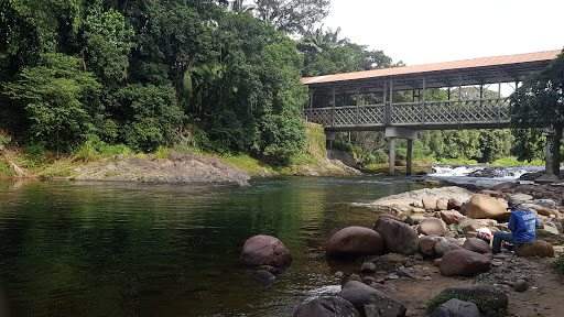 Melhores Apartamentos em Pirabeiraba, Santa Catarina para Alugar 2025