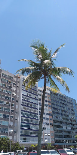 Melhores Apartamentos em Leme, Rio de Janeiro para Alugar 2025