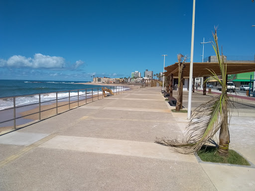 Melhores Apartamentos em Amaralina, Bahia para Alugar 2025