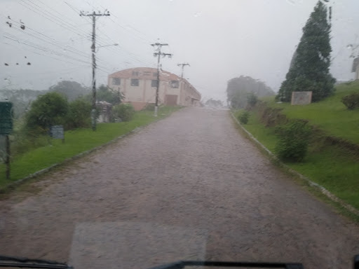 Melhores Apartamentos em Morro dos Bugres, Rio Grande do Sul para Alugar 2025