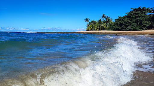 Melhores Apartamentos em Ponta do Mutá, Bahia para Alugar 2025