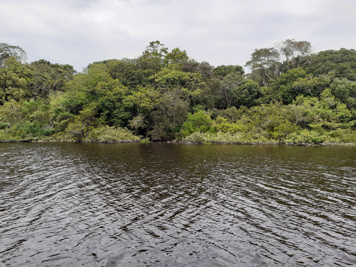 Melhores Apartamentos em Tarumã, Amazonas para Alugar 2025