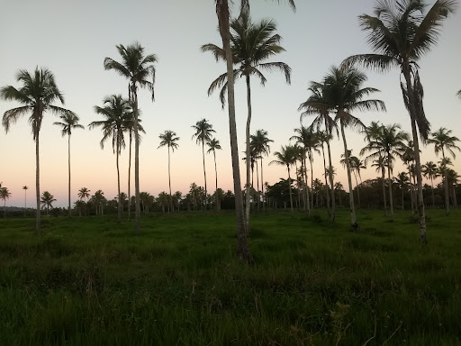 Melhores Apartamentos em Santa Luzia, Alagoas para Alugar 2025