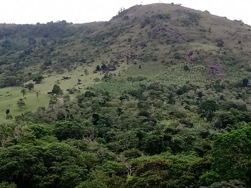 Melhores Apartamentos em Serra Grande, Bahia para Alugar 2025