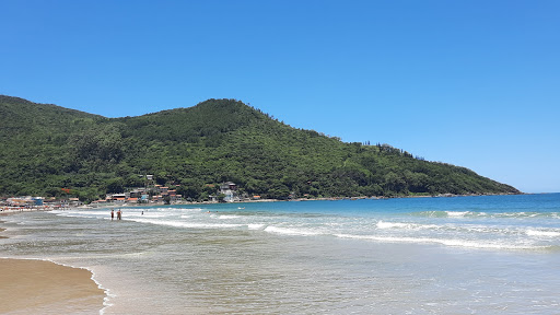 Melhores Apartamentos em Pântano do Sul, Ilha de Santa Catarina para Alugar 2025