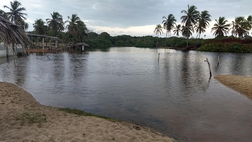 Melhores Apartamentos em Pititinga, Rio Grande do Norte para Alugar 2025