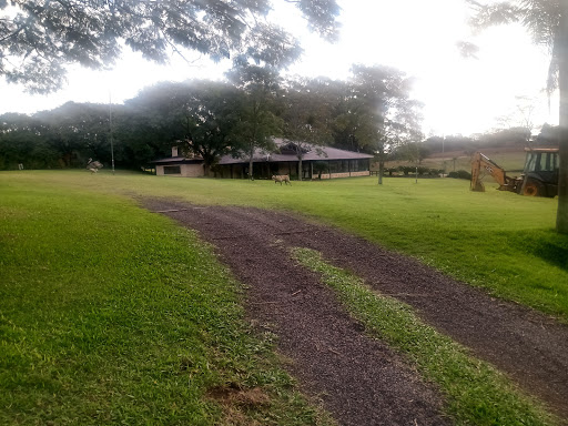 Melhores Apartamentos em Santa Rita, Rio Grande do Sul para Alugar 2025