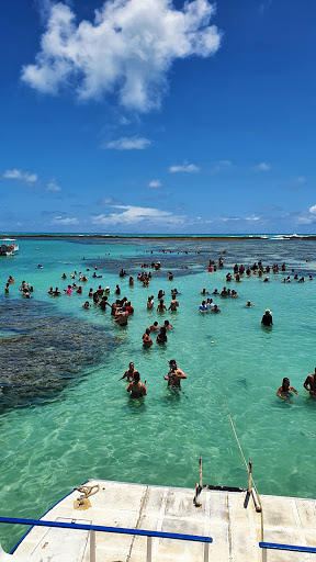 Melhores Apartamentos em Maragogi, Alagoas para Alugar 2025