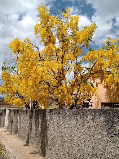 Melhores Apartamentos em Bezerros, Pernambuco para Alugar 2025