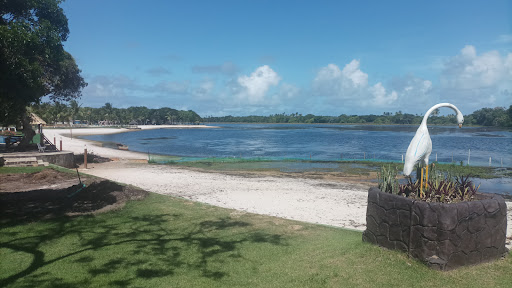 Melhores Apartamentos em Guarajuba, Bahia para Alugar 2025