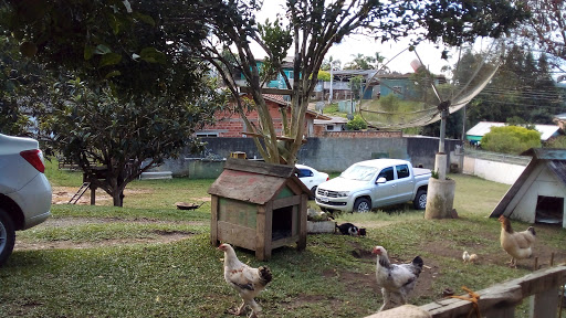 Melhores Apartamentos em Rio Negrinho, Santa Catarina para Alugar 2025