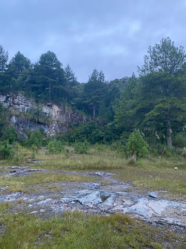 Melhores Apartamentos em Itupava, Santa Catarina para Alugar 2025