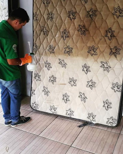 Melhores Apartamentos em Lavagem, Ceará para Alugar 2025