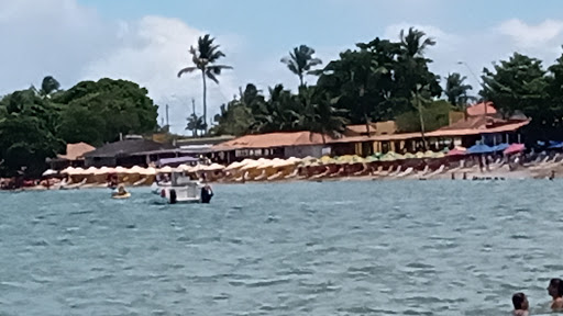 Melhores Apartamentos em Coroa Vermelha, Bahia para Alugar 2025