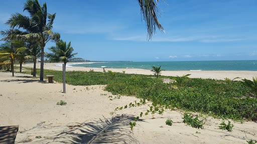 Melhores Apartamentos em Tacimirim, Bahia para Alugar 2025