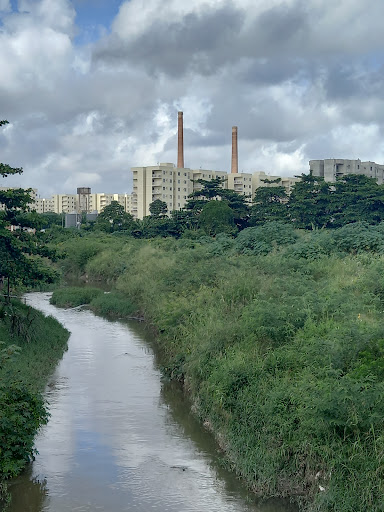 Melhores Apartamentos em Paulista, Pernambuco para Alugar 2025