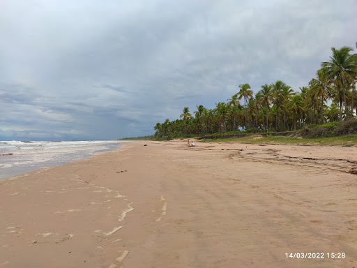 Melhores Apartamentos em Praia dos Algodões, Bahia para Alugar 2025