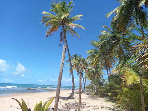 Melhores Apartamentos em Taipu, Bahia para Alugar 2025