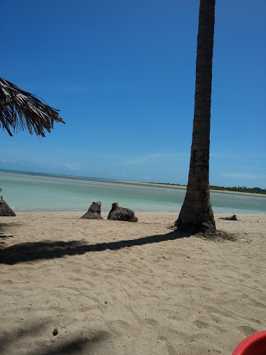 Melhores Apartamentos em Tatuamunha, Alagoas para Alugar 2025