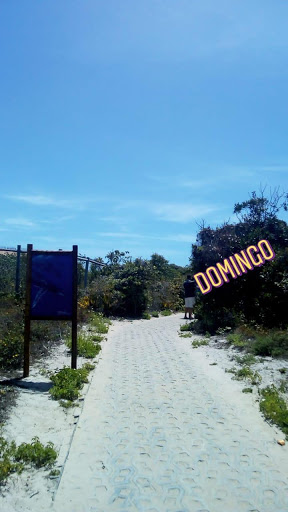 Melhores Apartamentos em Praia do Forte, Bahia para Alugar 2025