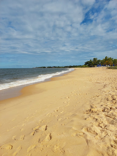 Melhores Apartamentos em Mutari, Bahia para Alugar 2025